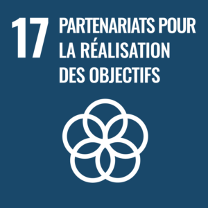 ODD 17 PARTENARIATS
